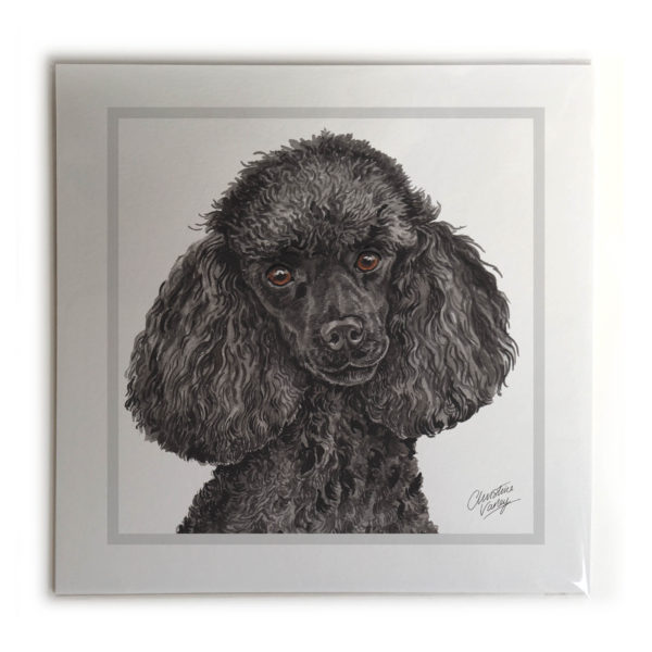 Miniature Poodle Dog Picture / Print