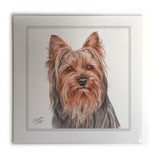 Yorkshire Terrier Dog Picture / Print