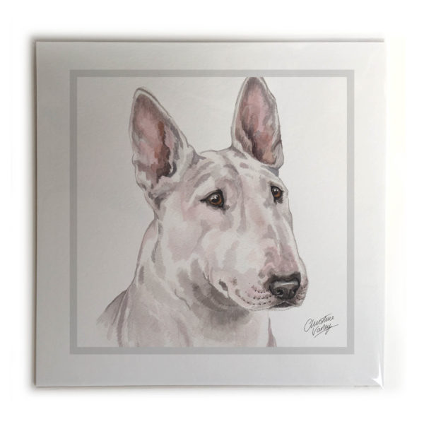 English Bull Terrier Dog Picture / Print