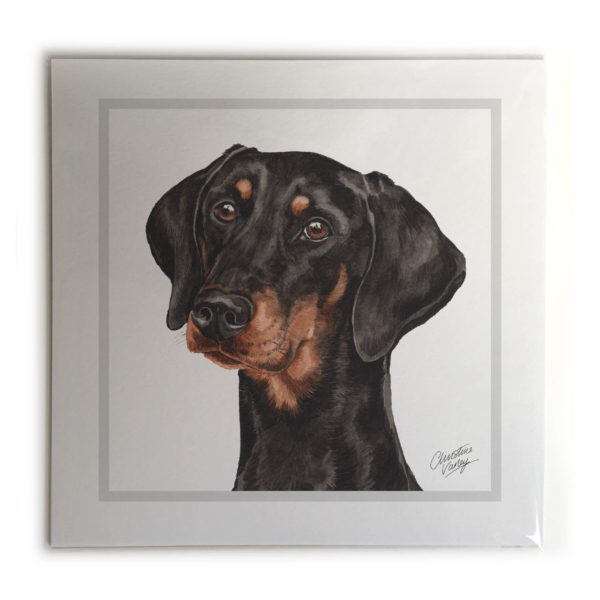 Doberman Dog Picture / Print