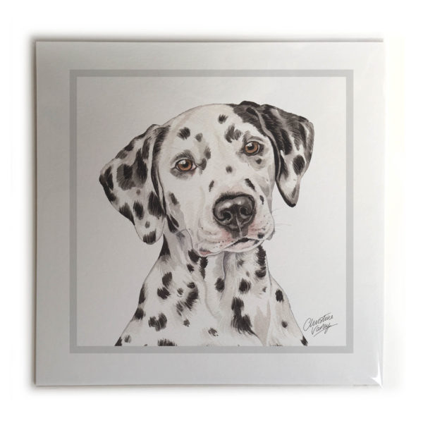Dalmatian Dog Picture / Print