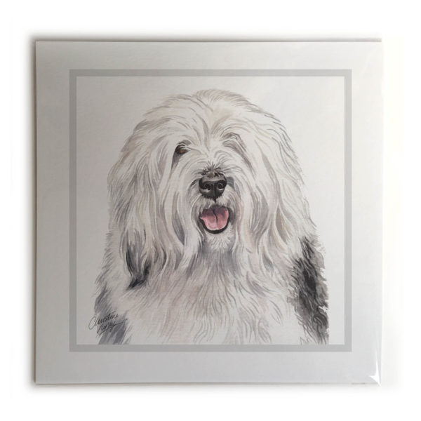 Old English Sheepdog Dog Picture / Print