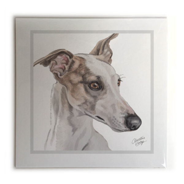 Greyhound Dog Picture / Print