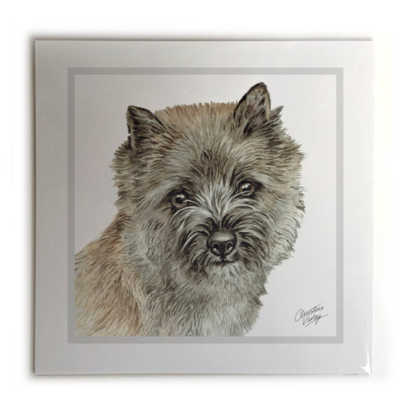 Cairn Terrier Dog Picture / Print