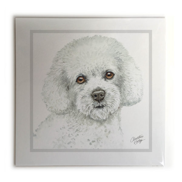 Bichon Frise Dog Picture / Print