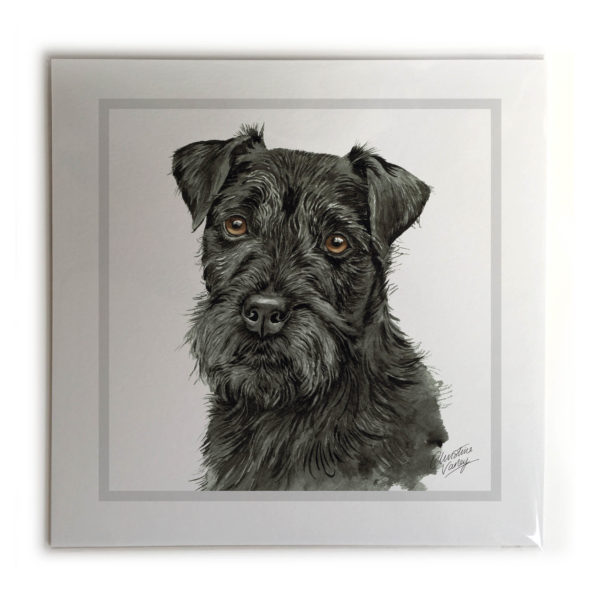 Patterdale Terrier Dog Picture / Print