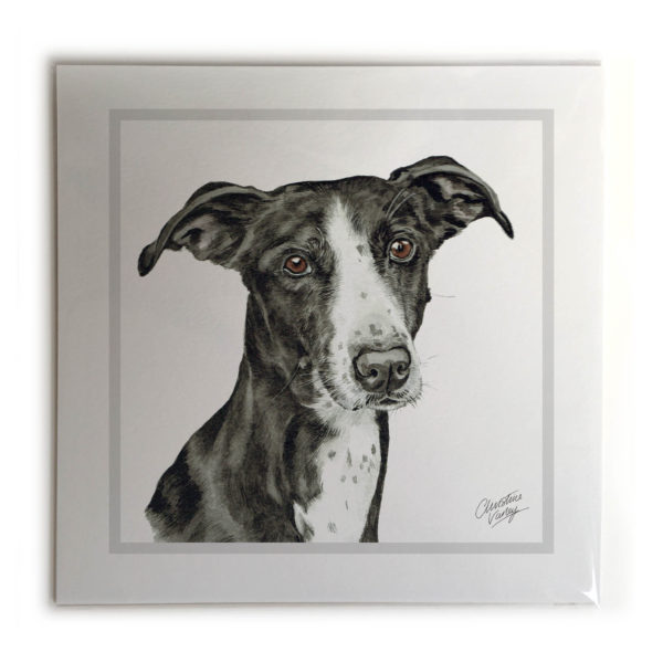 Lurcher Dog Picture / Print