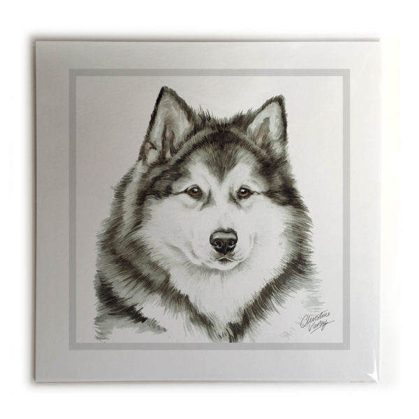 Alaskan Malamute Dog Picture / Print