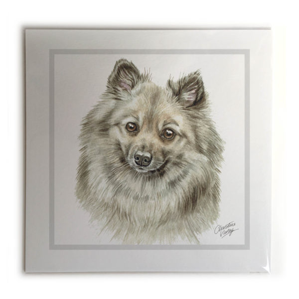 German Spitz Dog Picture / Print