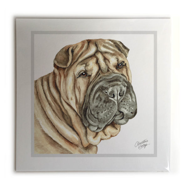 Shar Pei Dog Picture / Print