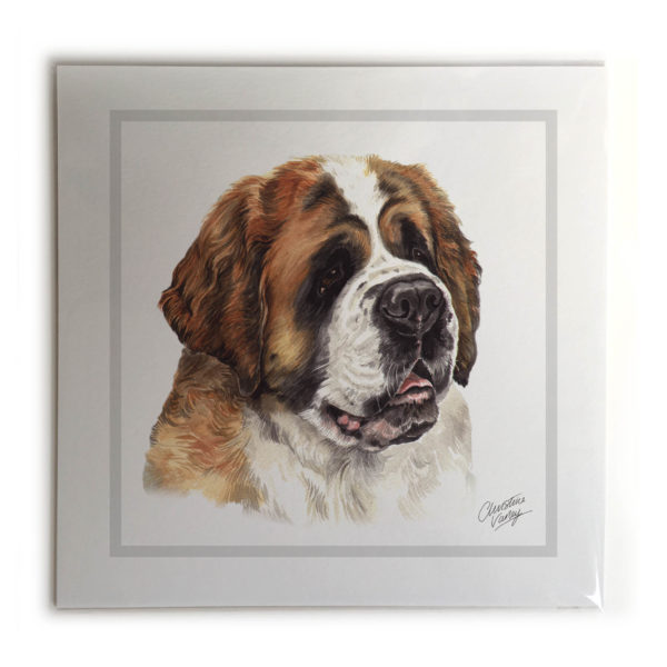 St. Bernard Dog Picture / Print