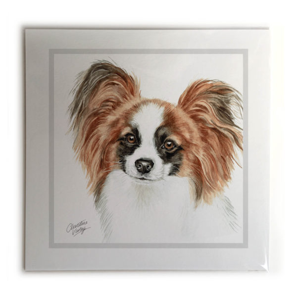 Papillon Dog Picture / Print