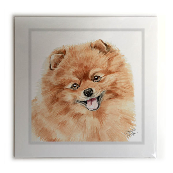 Pomeranian Dog Picture / Print