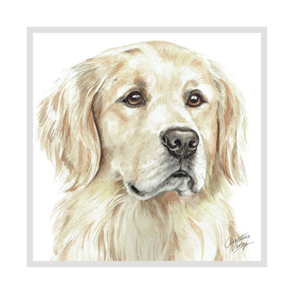 Golden Retriever Dog Picture / Print