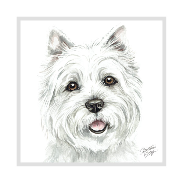 West Highland Terrier Dog Picture / Print