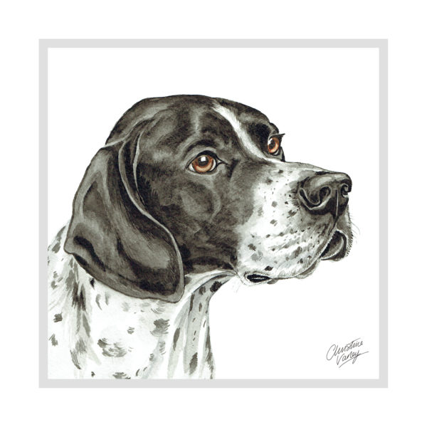 English Pointer Dog Picture / Print