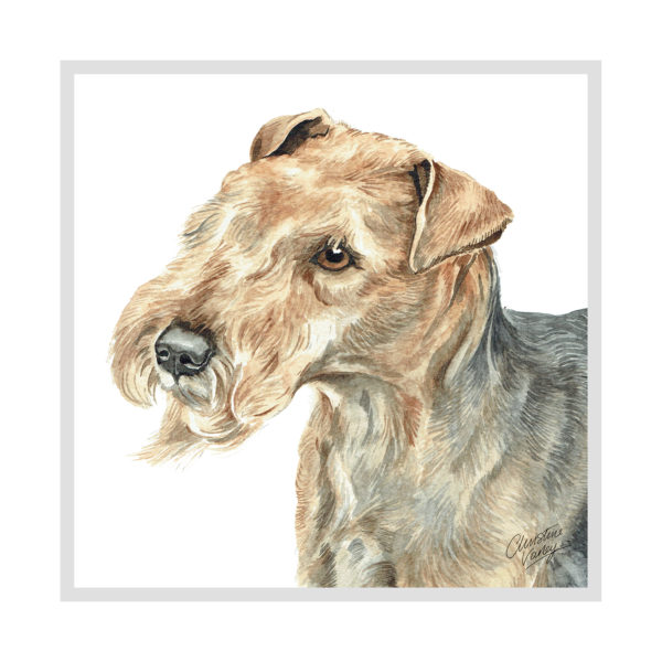 Lakeland Terrier Dog Picture / Print