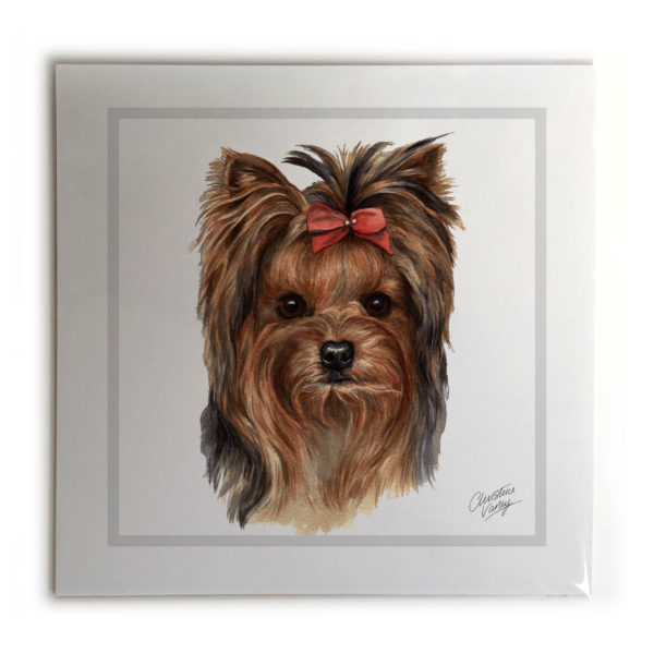 Yorkshire Terrier Dog Picture / Print