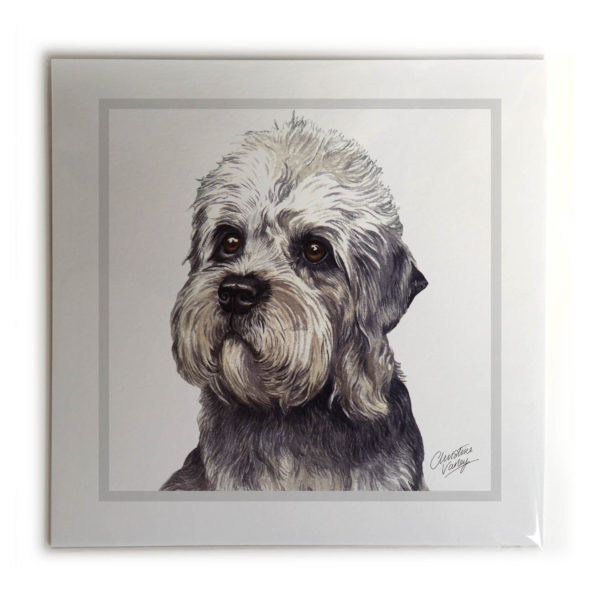 Dandie Dinmont Dog Picture / Print