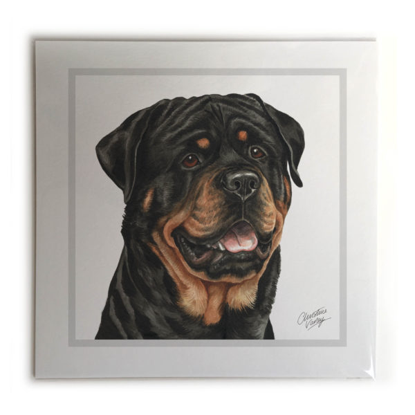 Rottweiler Dog Picture / Print