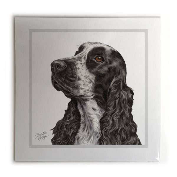 Cocker Spaniel Dog Picture / Print