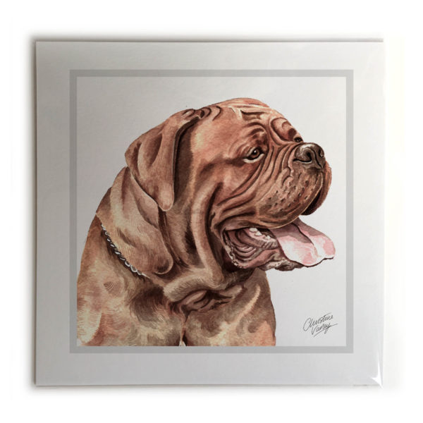 Dogue de Bordeaux Dog Picture / Print