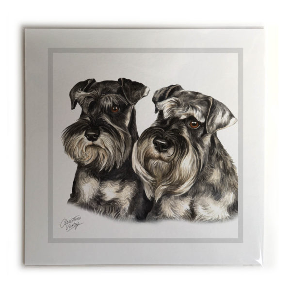 Miniature Schnauzer Pair Dog Picture / Print