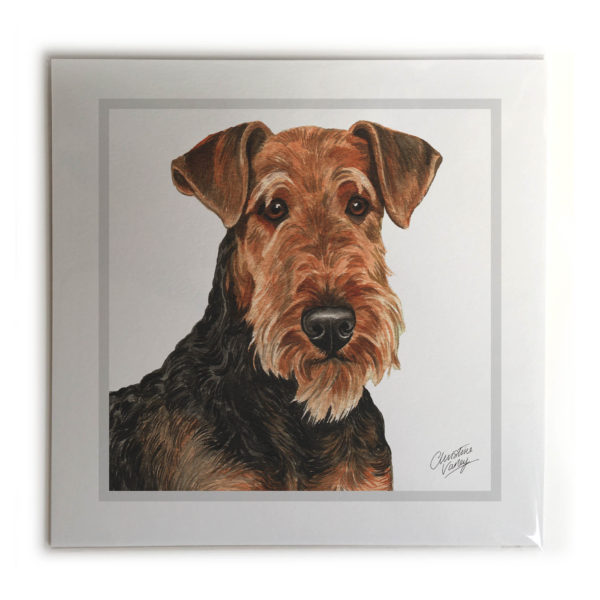 Airedale Terrier Dog Picture / Print