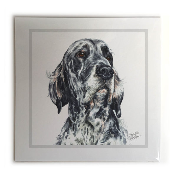 English Setter Dog Picture / Print