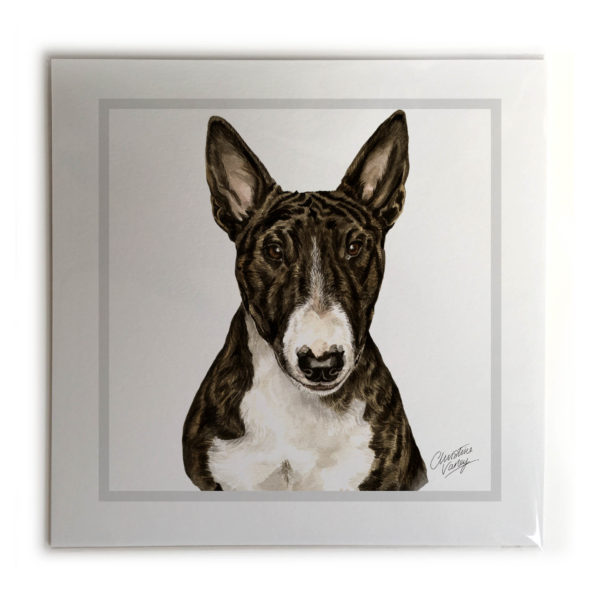 English Bull Terrier Dog Picture / Print