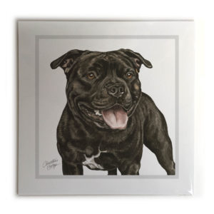 Staffordshire Bull Terrier Dog Picture / Print