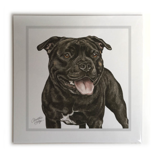 Staffordshire Bull Terrier Dog Picture / Print