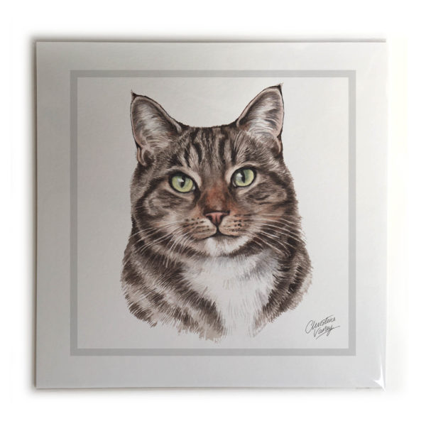 Tabby Cat Picture / Print