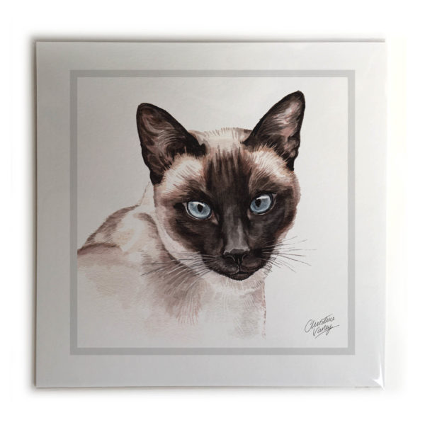 Siamese Cat Picture / Print