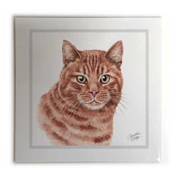 Ginger Cat Picture / Print