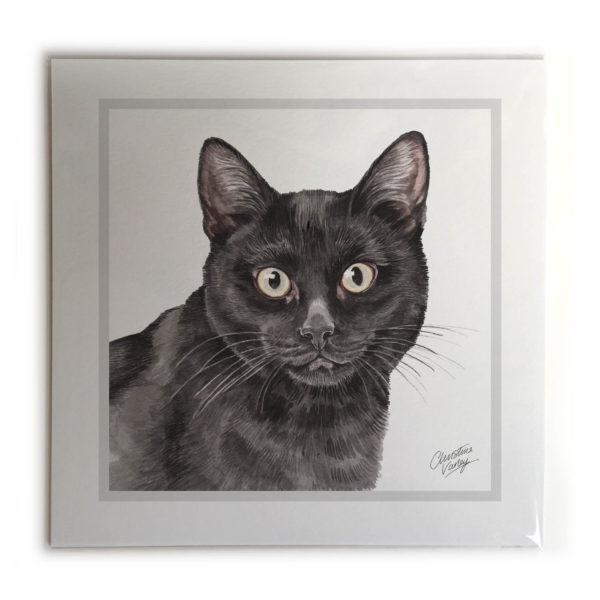 Black Cat Picture / Print