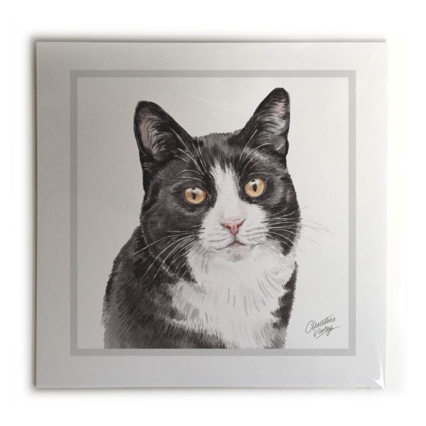 Black & White Cat Picture / Print