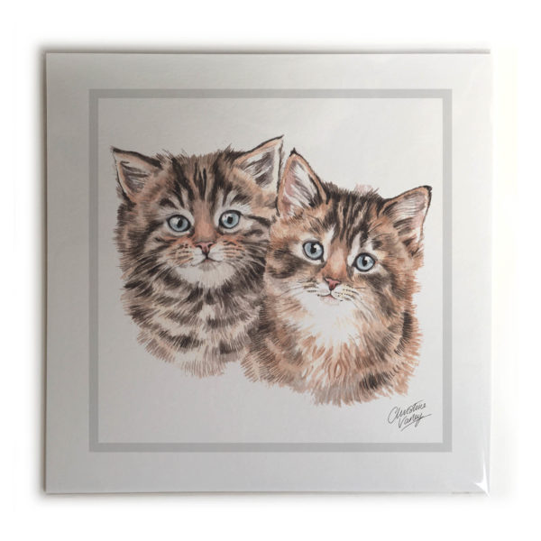 Kittens Cat Picture / Print