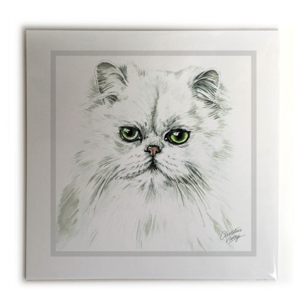 Persian Cat Picture / Print