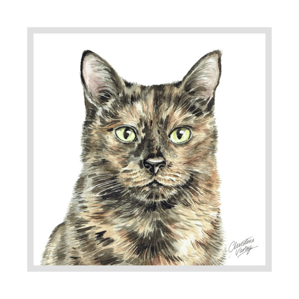 Tortoiseshell Cat Picture / Print