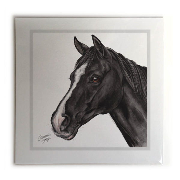 Black & White Horse Picture / Print
