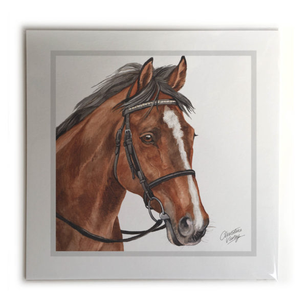 Bay Horse Picture / Print