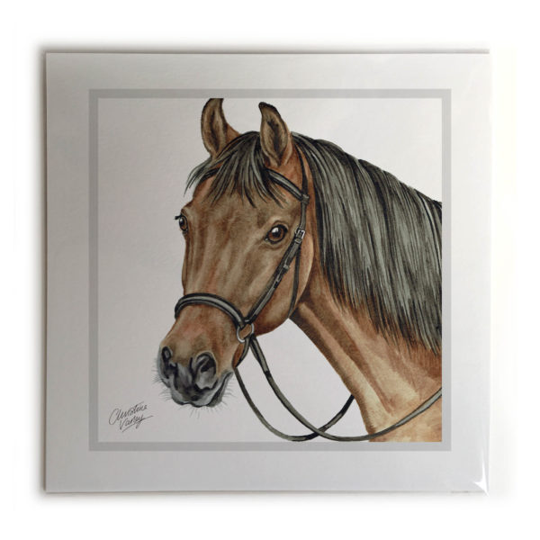 Bay Horse Picture / Print