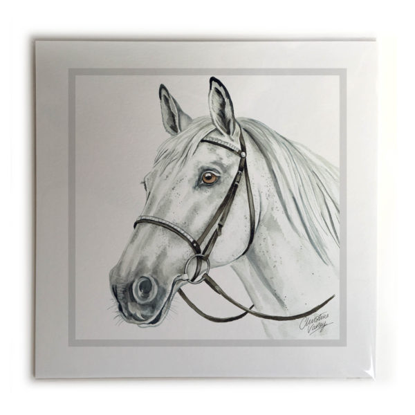 Grey Horse Picture / Print