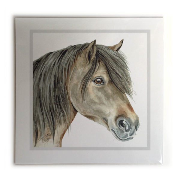 Shetland Pony Picture / Print