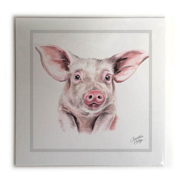 Pig  Picture / Print
