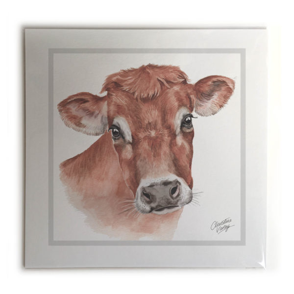 Jersey Cow Picture / Print