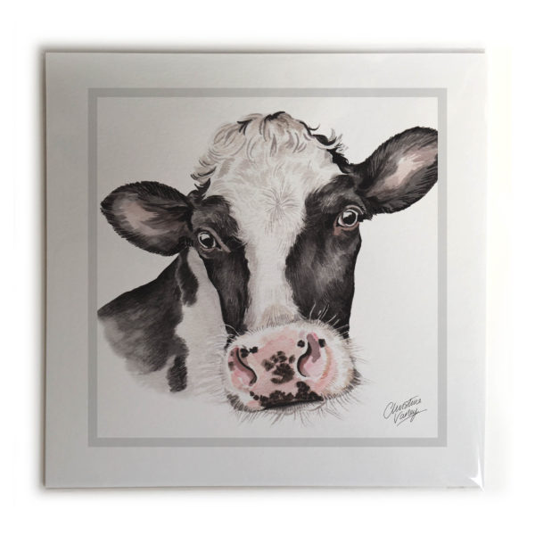 Friesian Cow Picture / Print