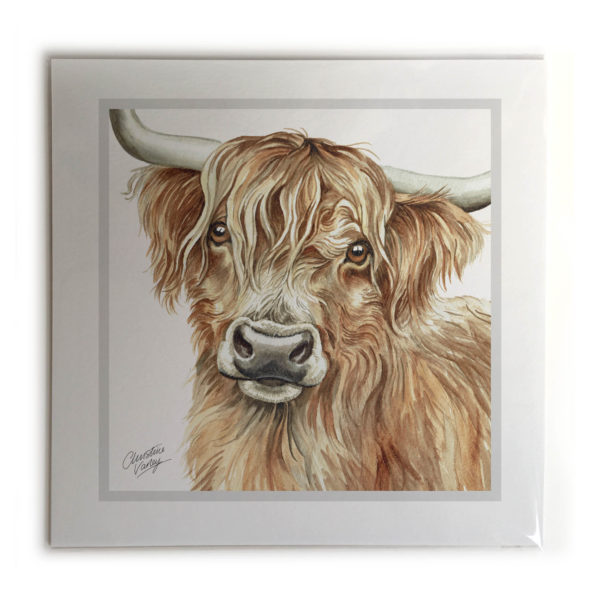 Highland Cow Picture / Print
