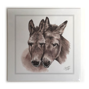 Donkeys Picture / Print